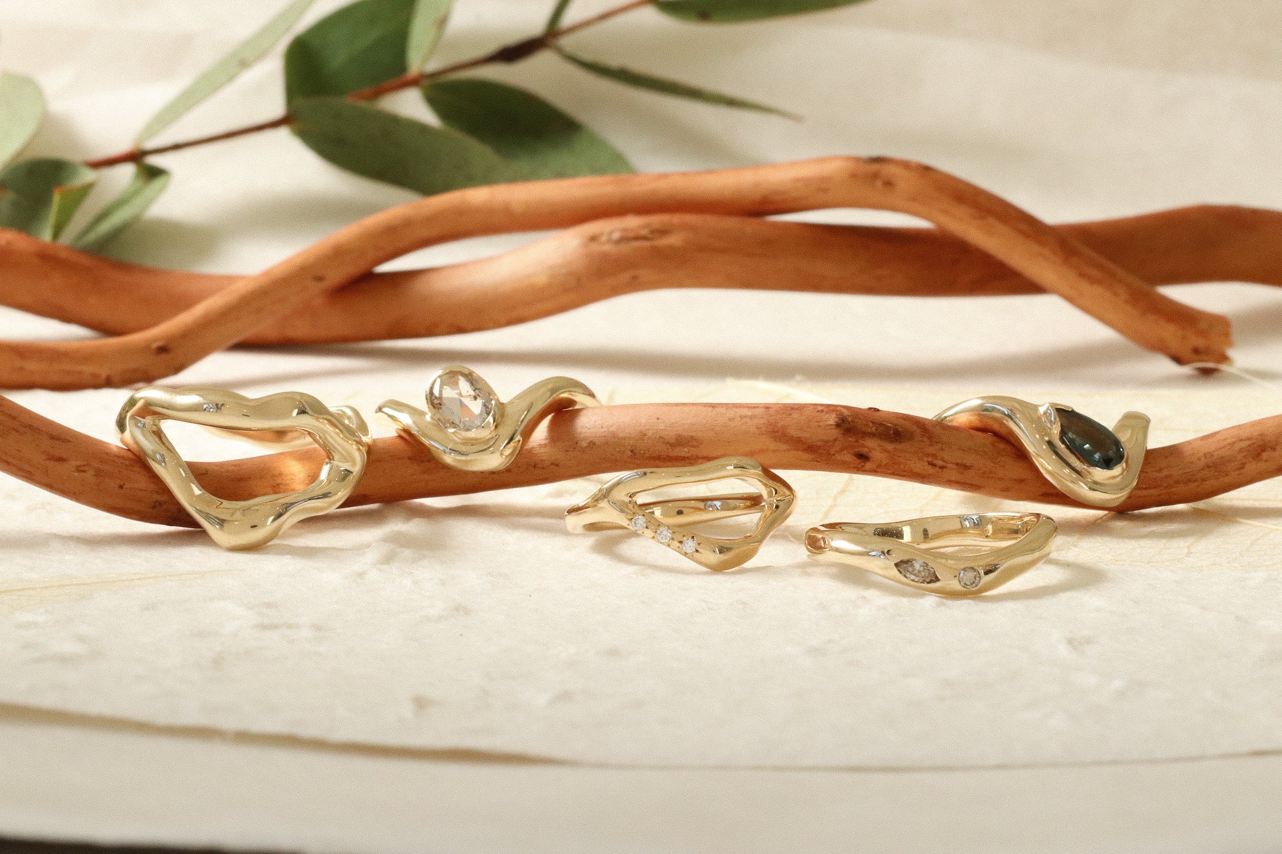 Dip & Root Collections