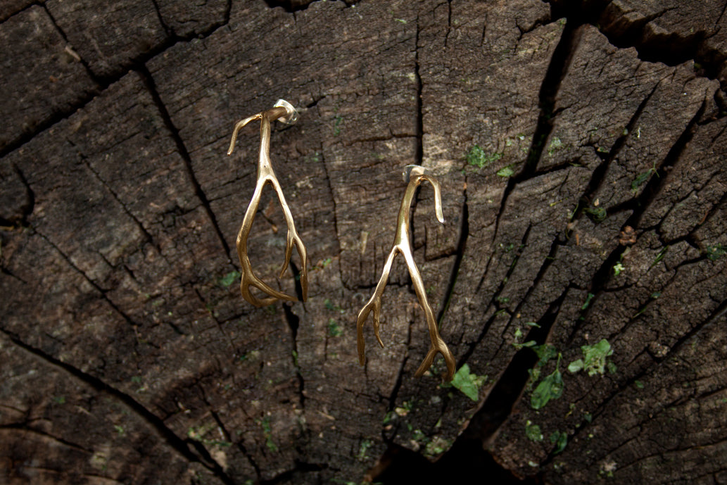 Root Hoops