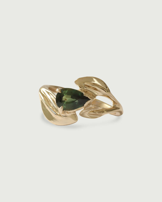 Front view of Curved Willow Ring in 14k yellow gold