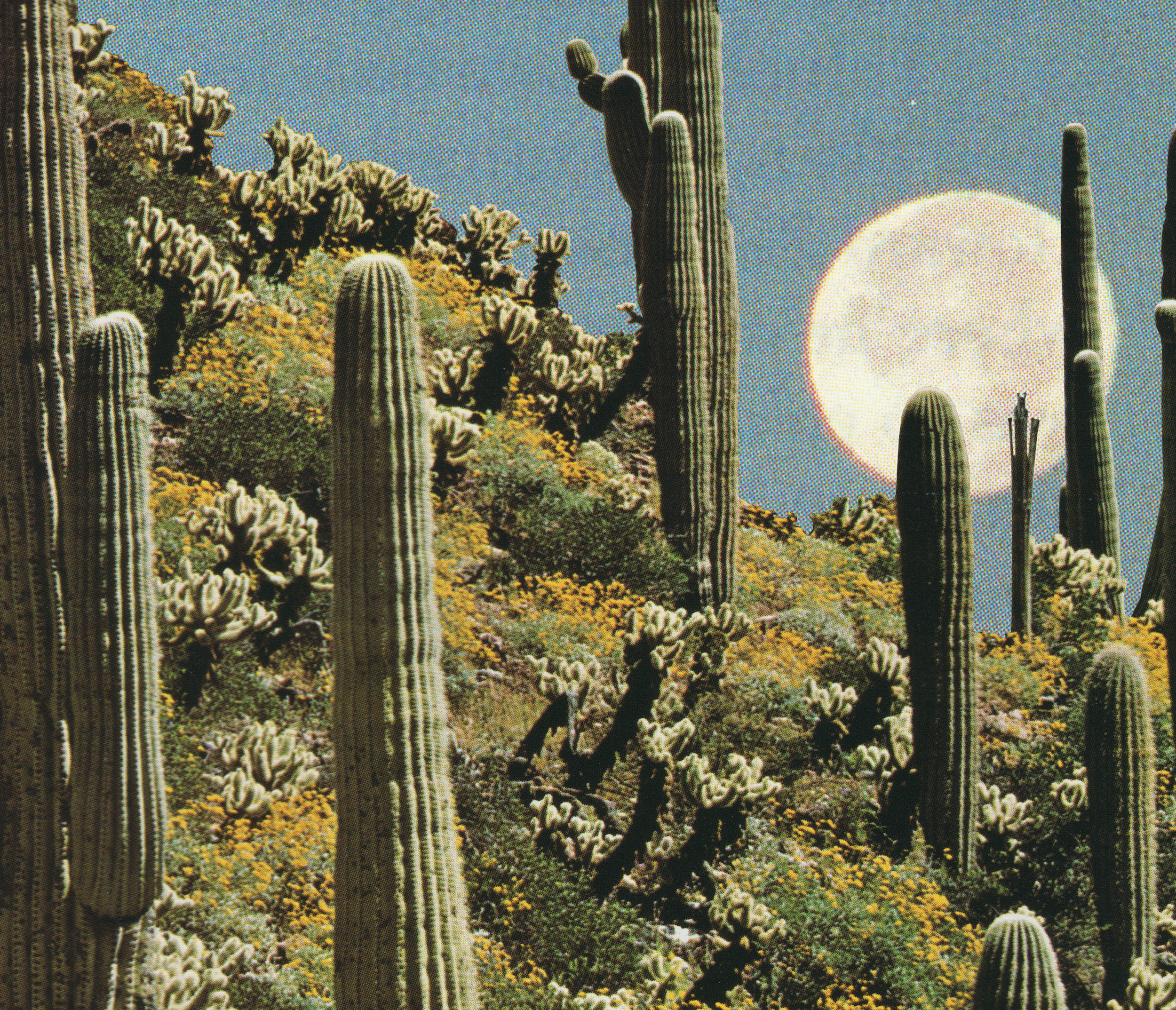 Abstract collage of cactus plants with a large moon in the sky